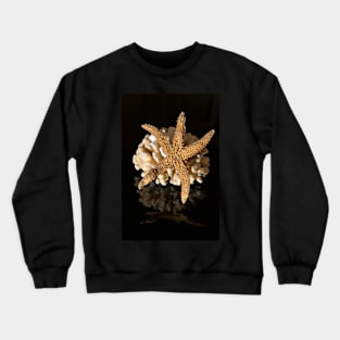 Corals and sea star on black reflective background Crewneck Sweatshirt